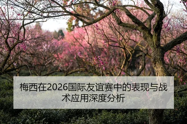 梅西在2026国际友谊赛中的表现与战术应用深度分析