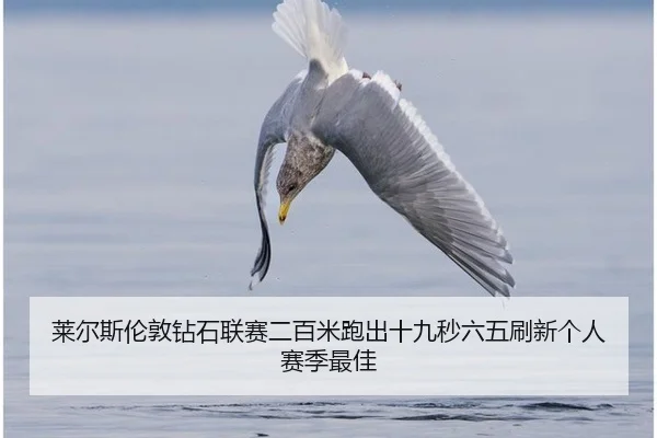 莱尔斯伦敦钻石联赛二百米跑出十九秒六五刷新个人赛季最佳
