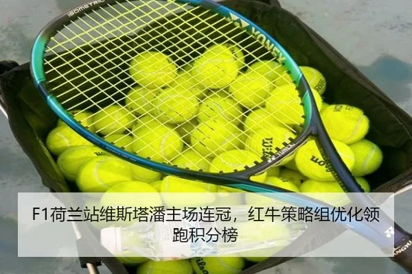 F1荷兰站维斯塔潘主场连冠，红牛策略组优化领跑积分榜